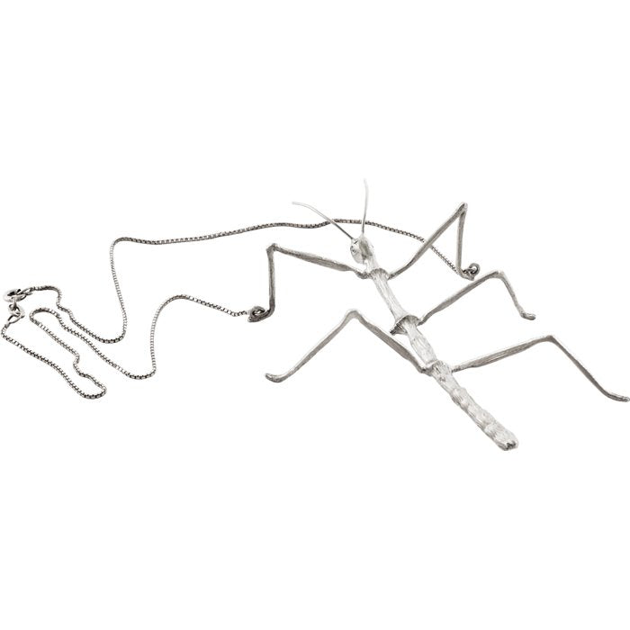STICK INSECT - MARCEL BEDRO